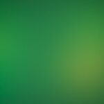 Photo dark green dress