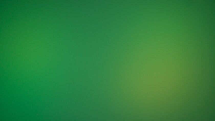 Photo dark green dress