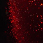 Photo red color