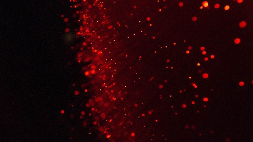 Photo red color